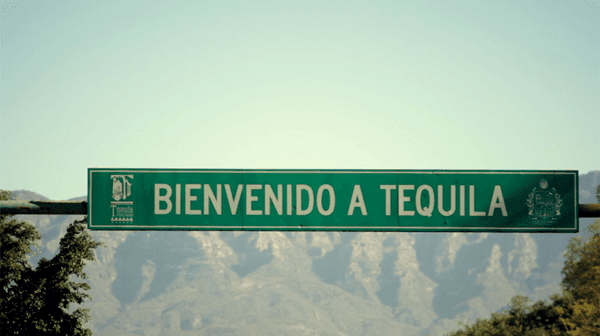 How to Find a Good Tequila?