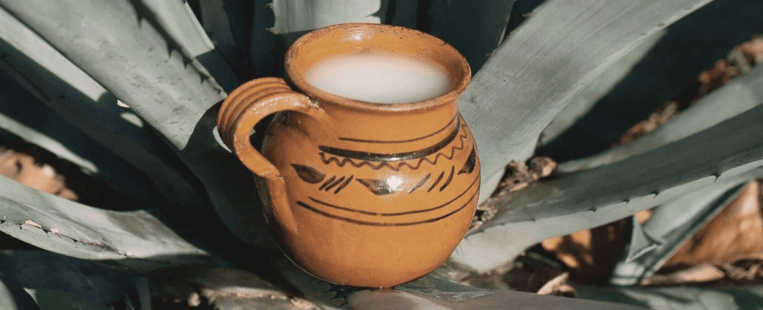 Pulque - The OG Mexican drink