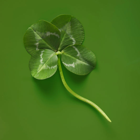 Forget Guinness! Here's Why You Should Drink Gin This St Patrick's Day