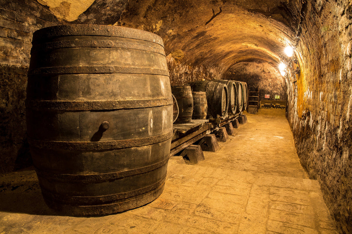 Black Mold Likes Spirits Just as Much as You Do. But What is (Whiskey) Fungus And is it Dangerous?