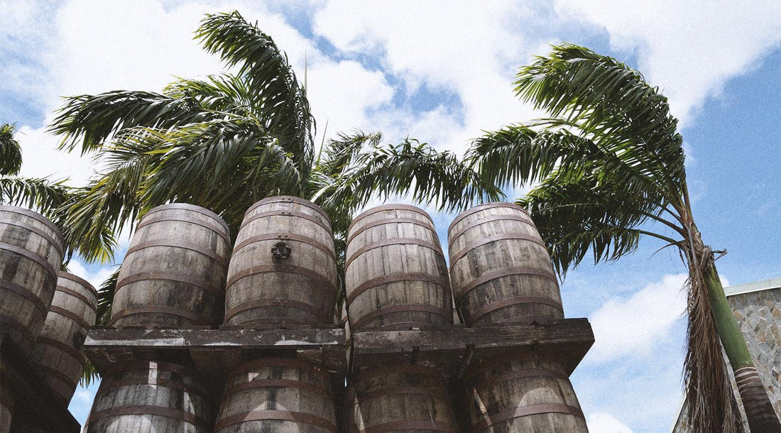 6 Things You Should Know About Rhum Agricole