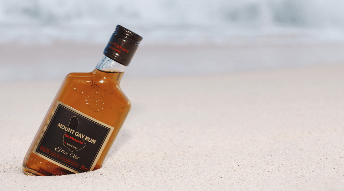 11 Questions About Rum People Don't Dare to Ask, but Secretly Google (a Lot)
