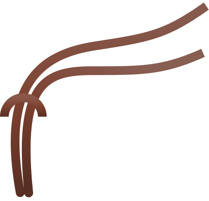 Cord
