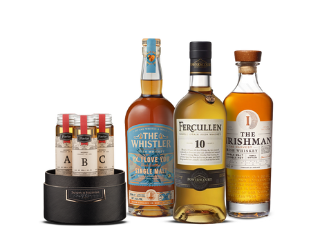 Les jeunes Irlandais